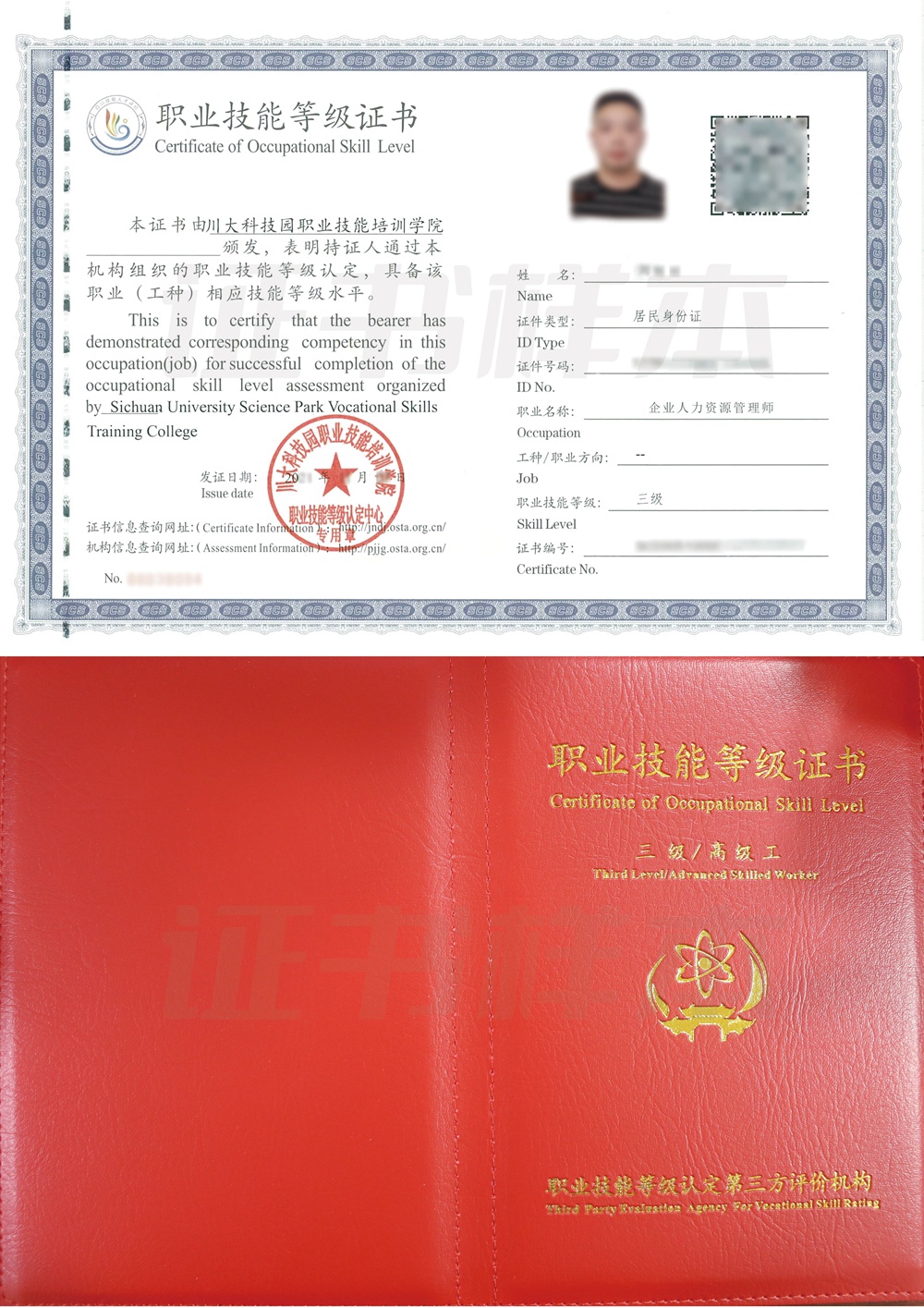 职业技能等级证书