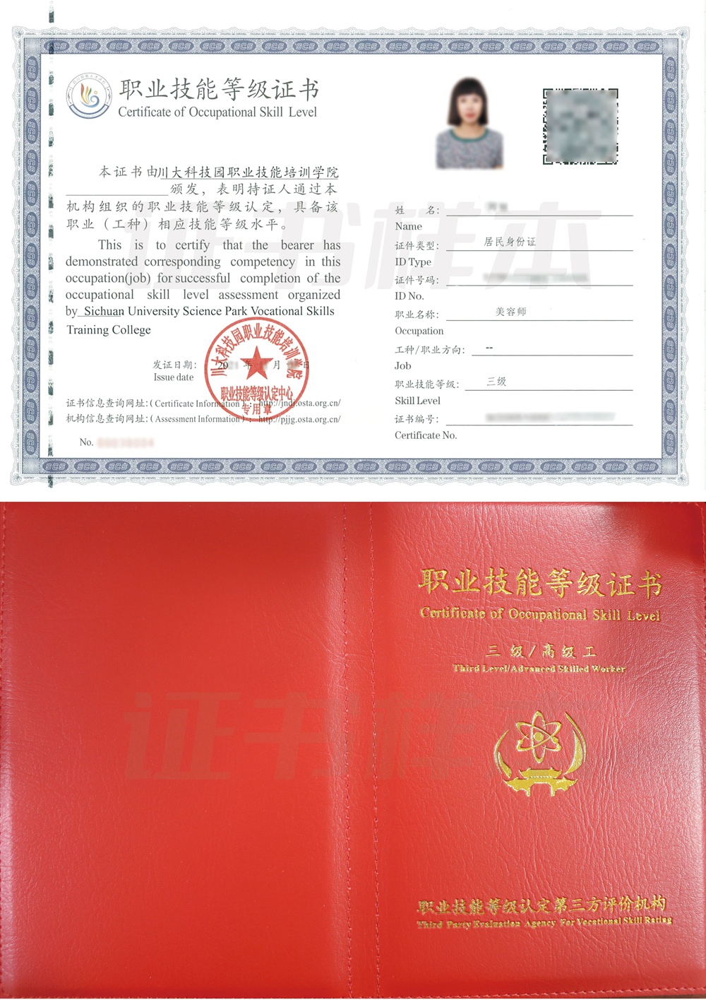 职业技能等级证书