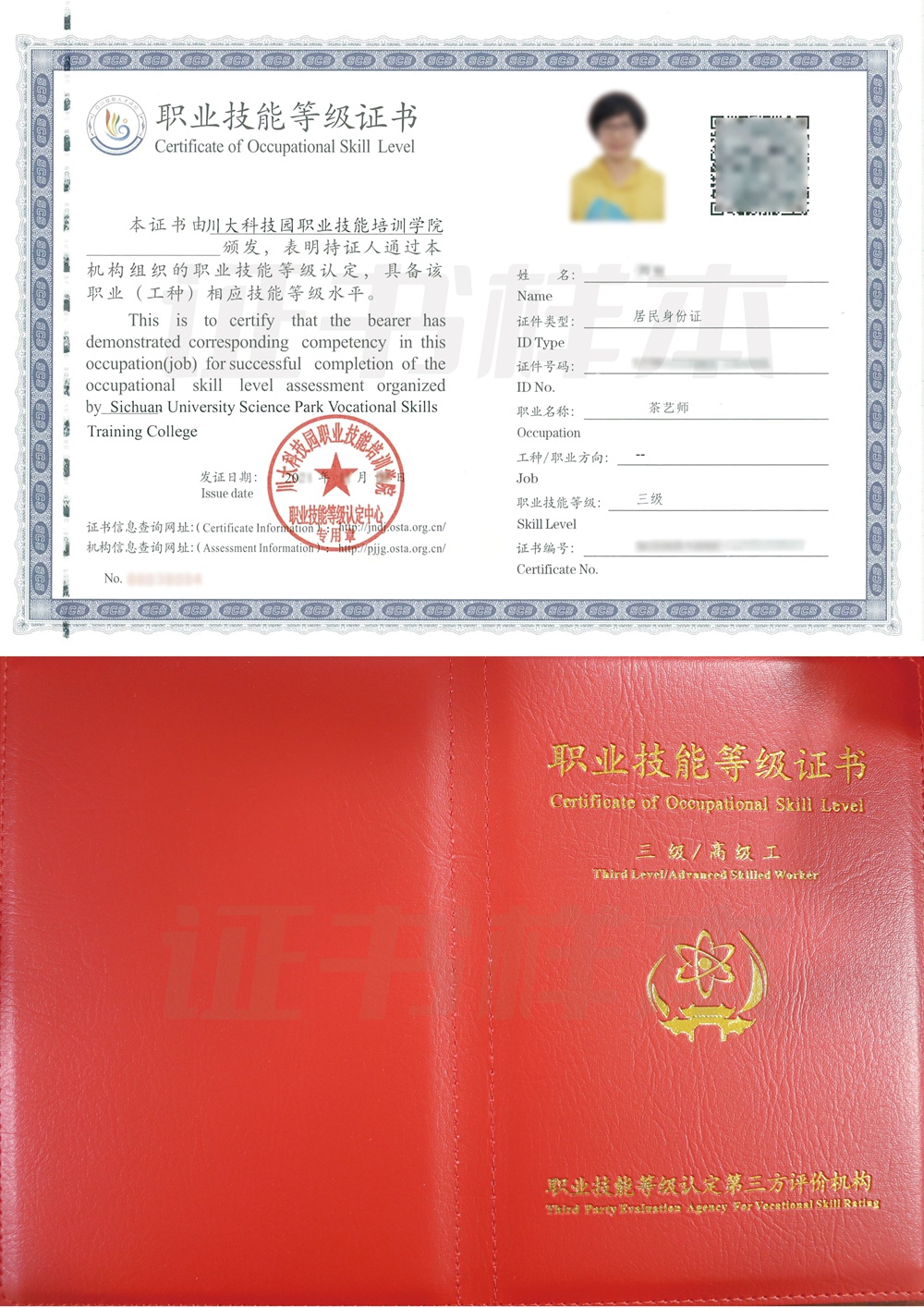 职业技能等级证书