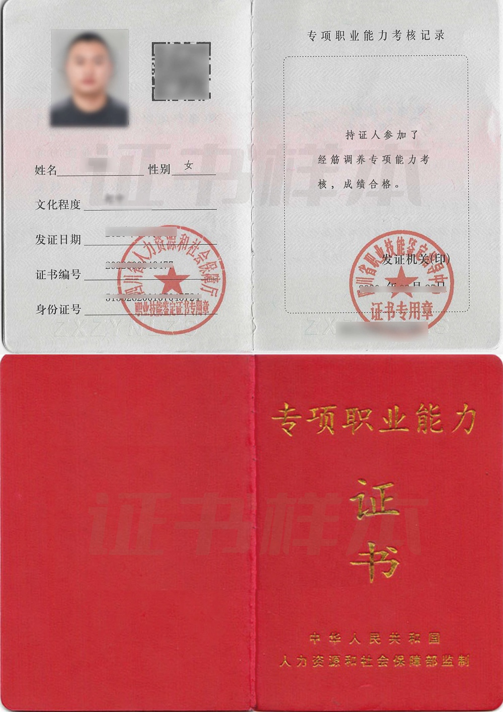 专项证书
